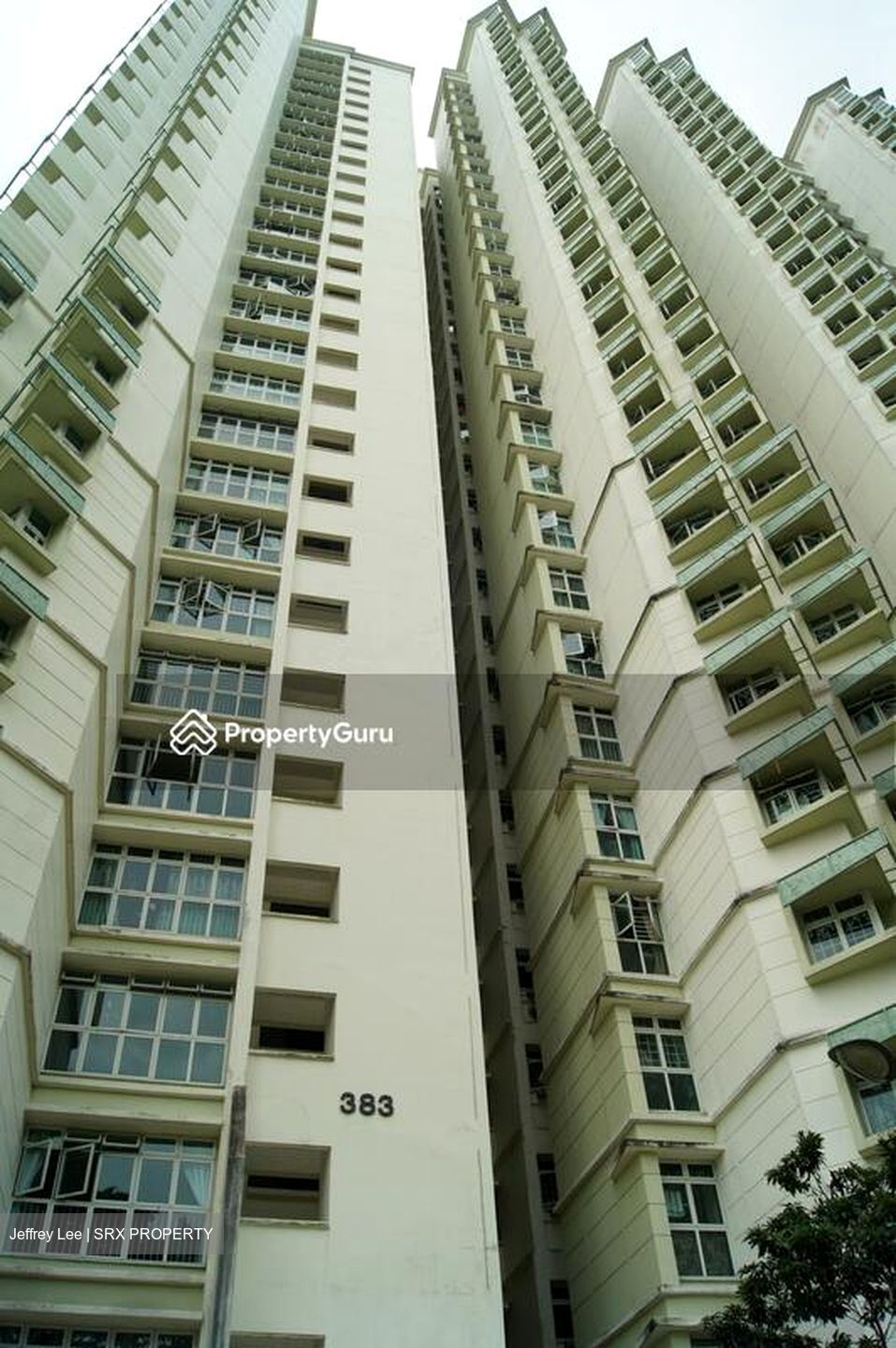 Blk 383 Bukit Batok West Avenue 5 (Bukit Batok), HDB 4 Rooms #503103391
